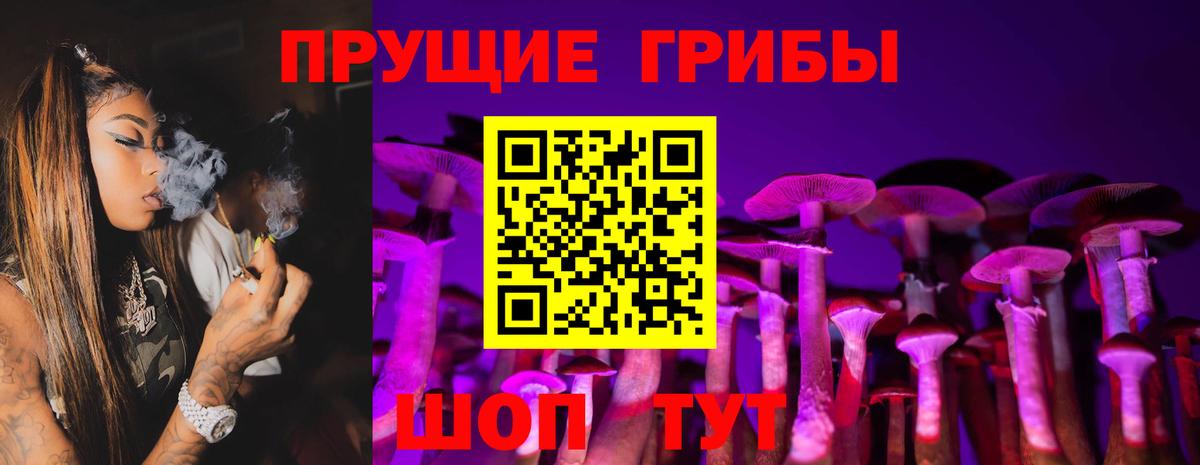 Псилоцибиновые грибы мицелий  Вход с VPN  Ахтубинск 